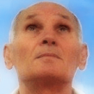 100 ovaca i predsednik, večiti 100 ovaca i predsednik, večiti