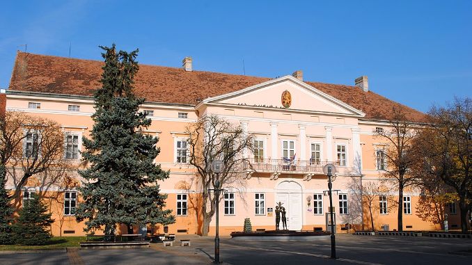 Prvi poraz od svih zaštićene direktorke Narodnog muzeja Kikinda; Nekultura, ili nešto (mnogo) više?