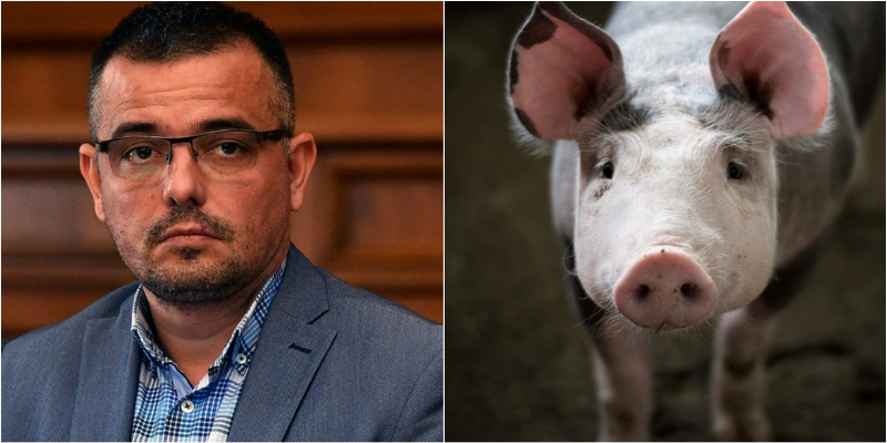 Dosmanijsko filtrirano zlo, mitrovački Nedim efendija i izlečenje od života Miloša Karolića Dosmanijsko filtrirano zlo, mitrovački Nedim efendija i izlečenje od života Miloša Karolića