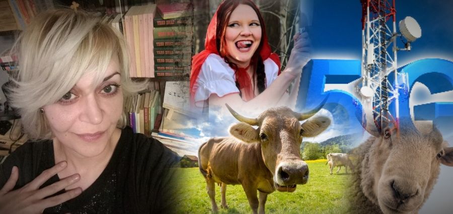 Ana Obradović javlja: Goveče iz Surdulice zaletelo se u 5G toranj na Zvezdari! Ana Obradovic 5g 900 1