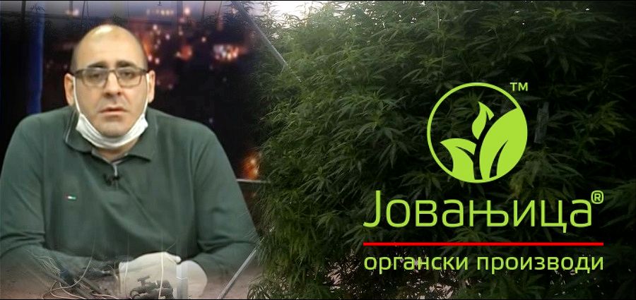 Đukanović i Papić nudili 100.000 evra inspektoru Milenkoviću da zataška „Jovanjicu“; Đukanović: Šokiran sam! Vladimir Djukanovic Jovanjica 900x425 1