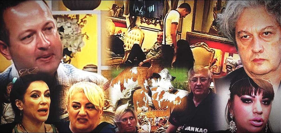 Sa Marićeve televizije poručili: Žene da se osemenjuju kao krave! Parovi Osemenjavanje 900x425 1