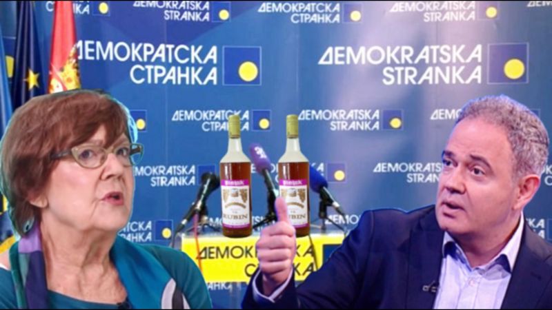Vesna Pesic Lutovac Vinjak Ds 2 800x450 1