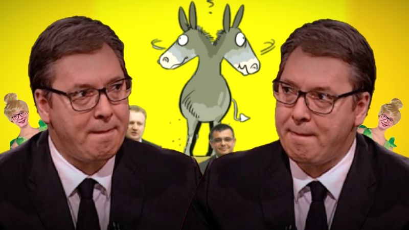 Vucic Magarac Djilas Nedimovic Zvoncica 800x450 1