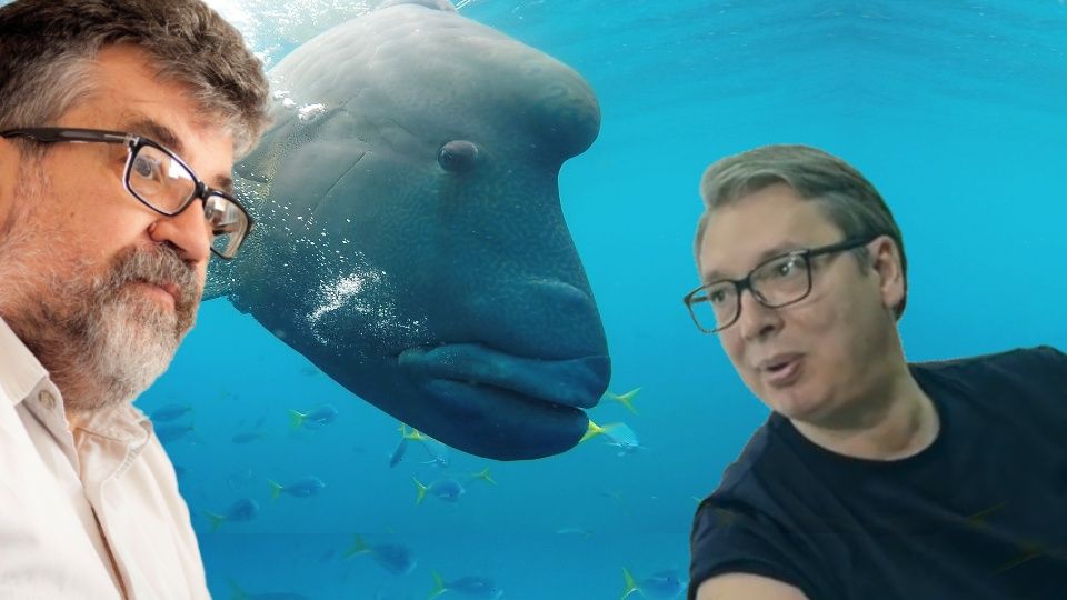 "Vučić duže može da izdrži pod vodom nego da ne slaže" Riba More Vucic Mile Peric 960x540 1