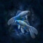 Horoskop Znak Riba 600x600 1 150x150