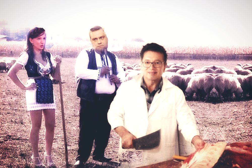 Marinika Tepic Borko Stefanovic Vucic Ovce 1000x666 1