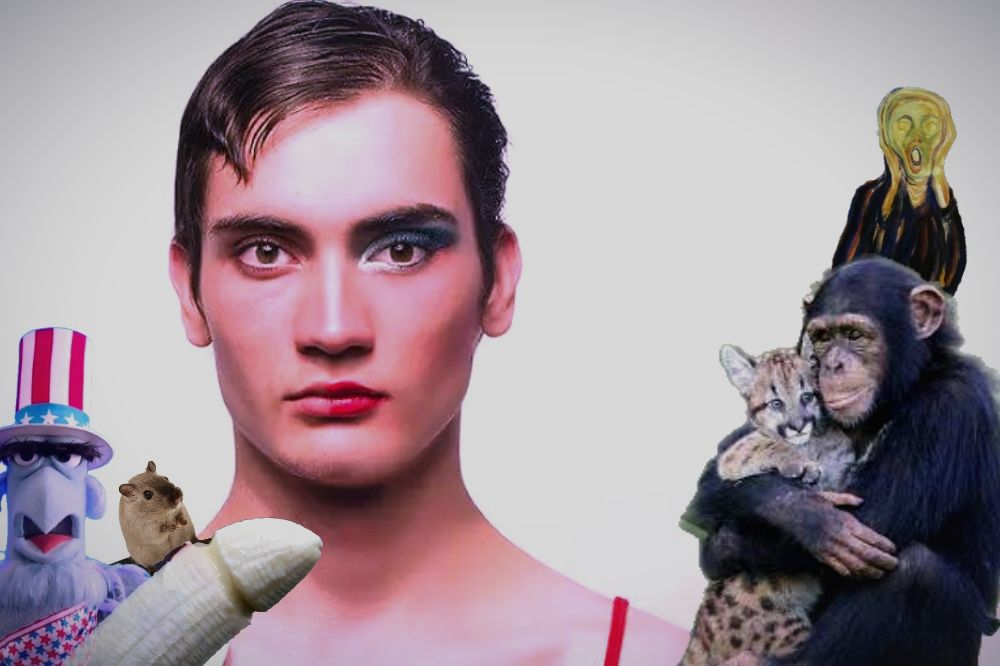 Transeksualac Majmun 1000x666 1