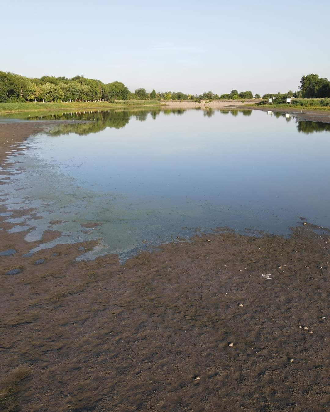 Conopljansko Jezero 13