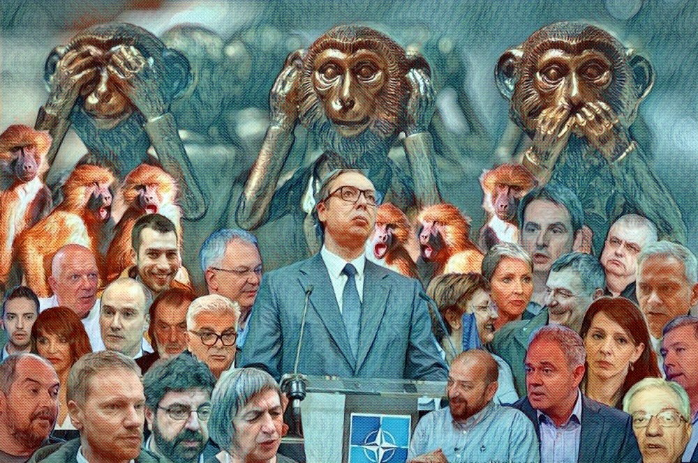 Vucic Nato Majmuni
