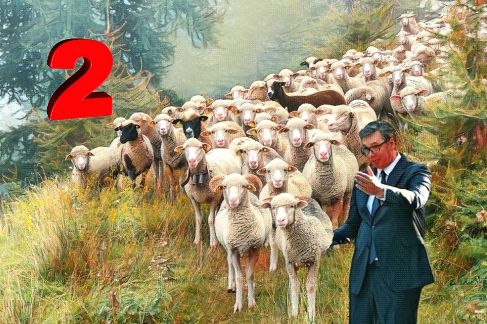 Vucic Ovce 2