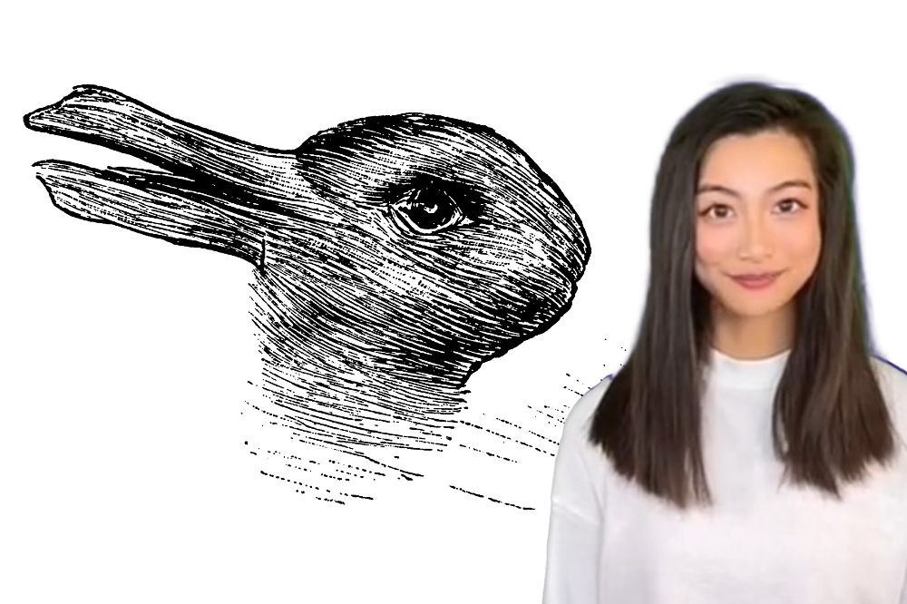 Iluzija Zec Patka 1000x666 1