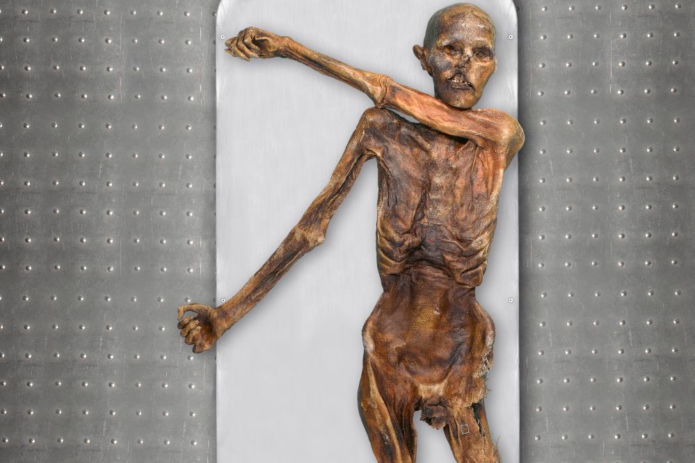 This photo provided by The South Tyrol Museum of Archaeology shows "Oetzi the Iceman," one of the oldest human glacier mummies. Decades after he was discovered in the Italian Alps, scientists determined that Oetzi was mostly descended from farmers from present day Turkey, and his head was balder and skin darker than what was initially thought, according to a study published Wednesday, Aug. 16, 2023, in the journal Cell Genomics.