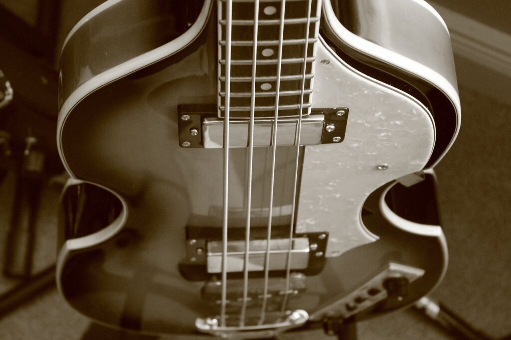 Bass Guitar Bas Gitara 1024x682