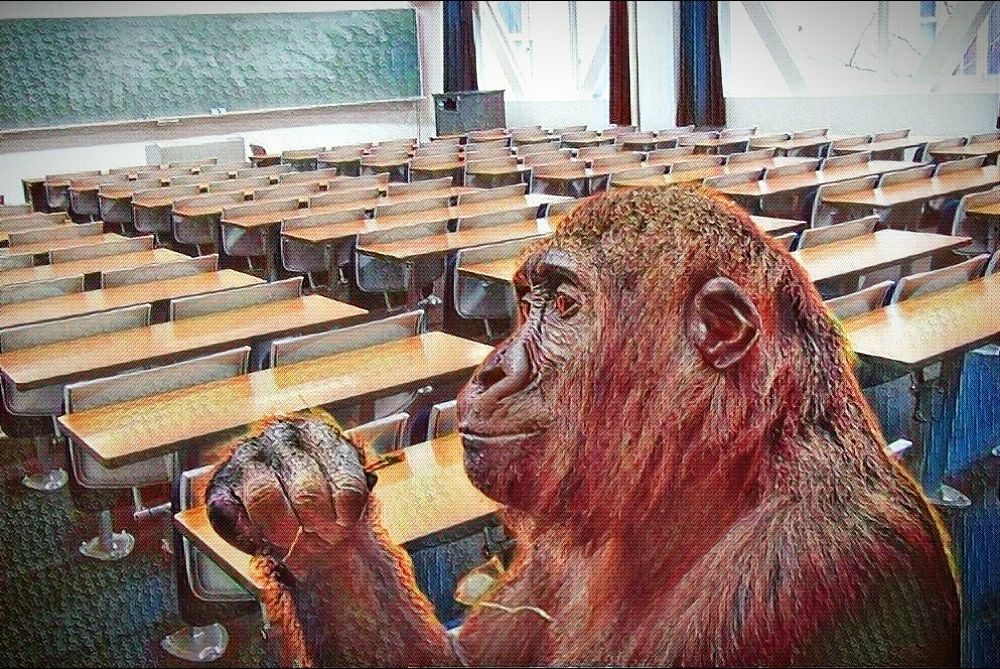 Skola Majmun 1000x666 1
