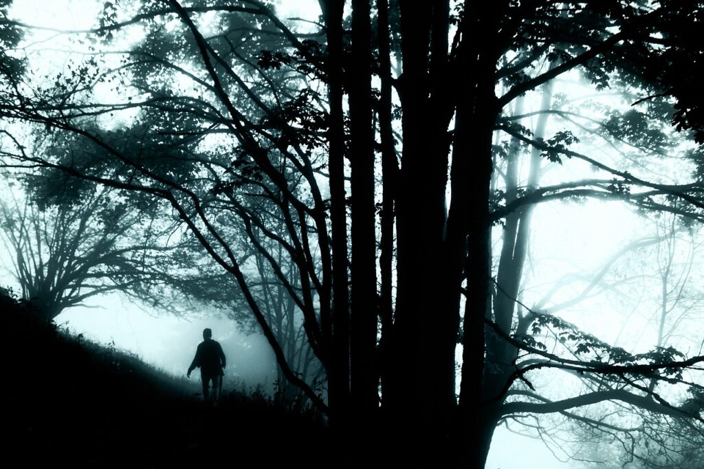 Pet misterioznijih događaja o nestanku ljudi i čitavih armija Suma Covek Misterija Magla 1024x682