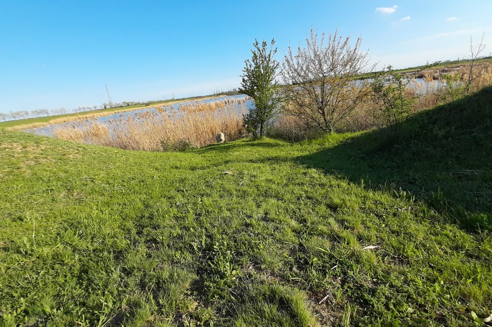 NOVI BECEJ BANJA Meda 1000x666 1