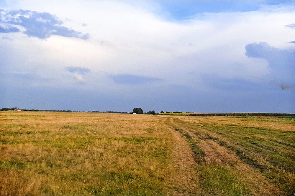 Veliko arheološko otkriće na severu Srbije: Fantastična mreža „bronzanog“ Banata Banat 1000x666 1