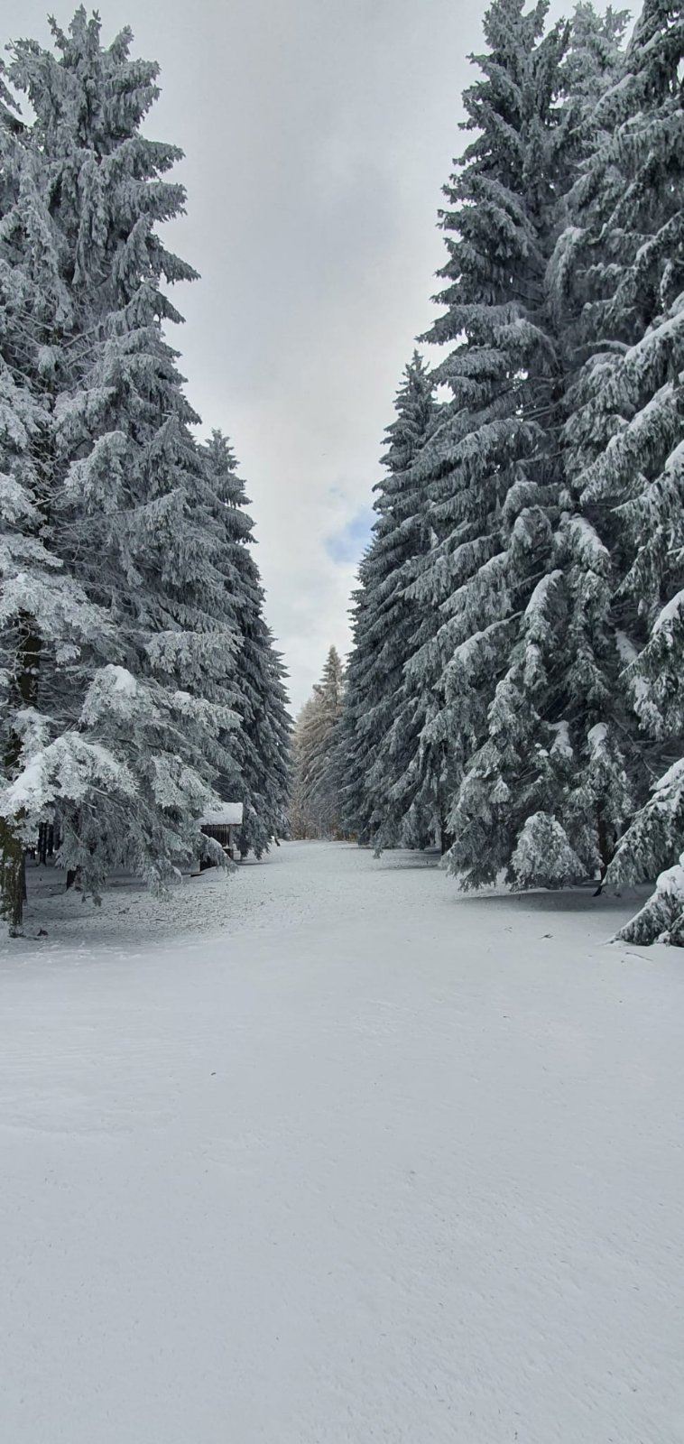 Ozren Sneg Sokobanja 2