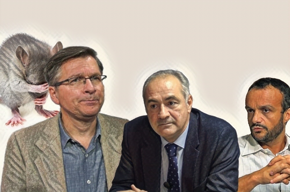 Vojvoda od Autokomande, u službi vlasti i tabloida: Vređa Lompara koji s Mirovićem osniva Srpski glas Kovic Lompar Mirovic