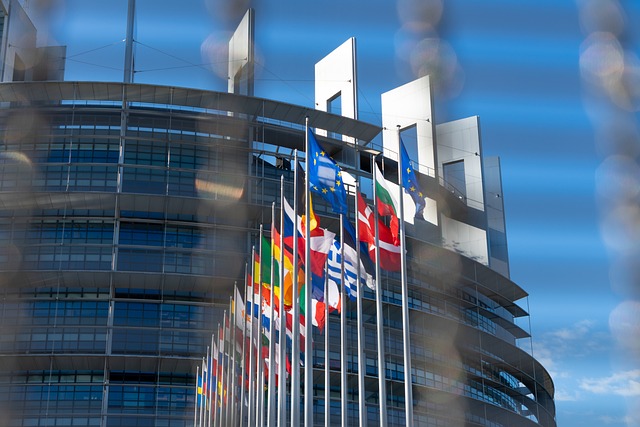 Eu Evropska Unija