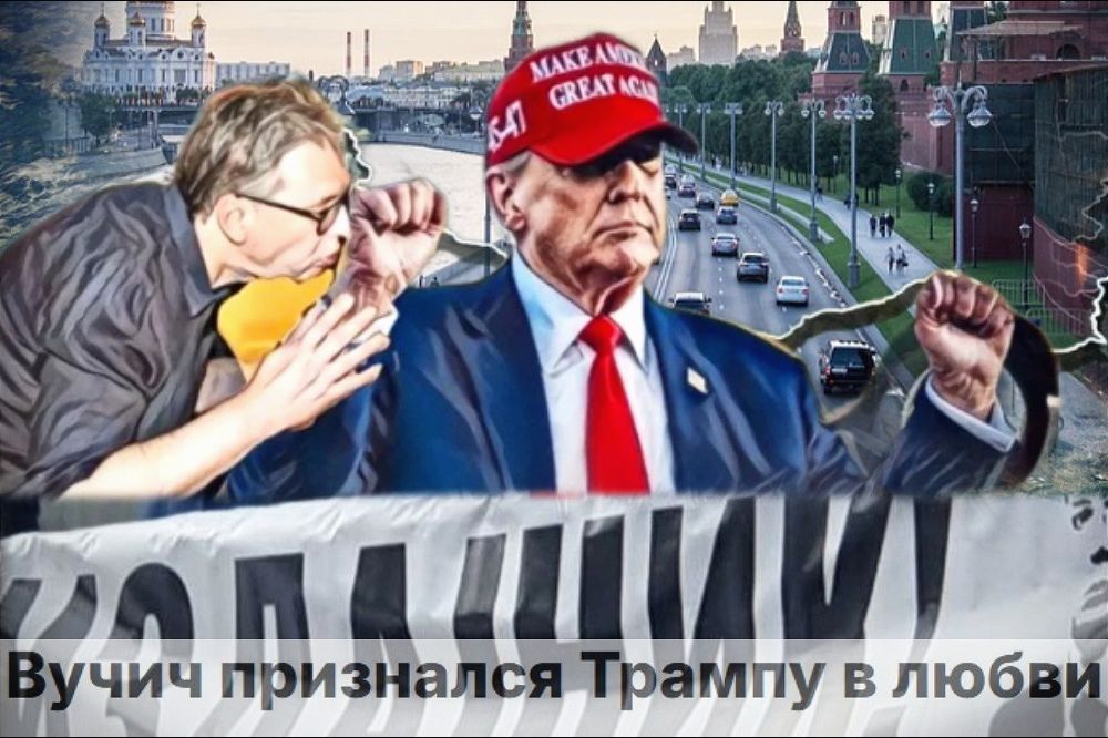 Tramp Vucic Ljubav 1 1